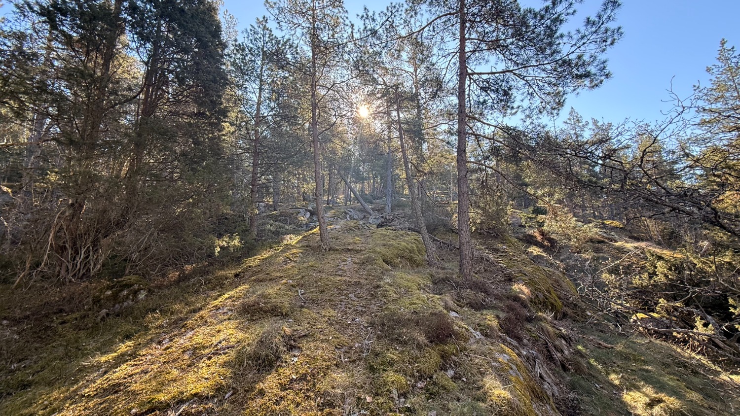 Långlöpning med Wilda Outdoors – Frihet i rörelse, ett steg i taget